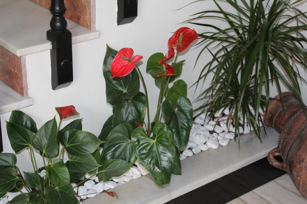 Hotel La Mirada Тарифа Экстерьер фото